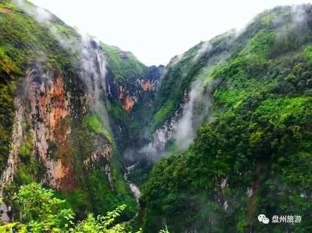杨幂厦门机场路透, 粉色棉服+卡其色休闲裤,简直如草莓团子般的粉嫩!